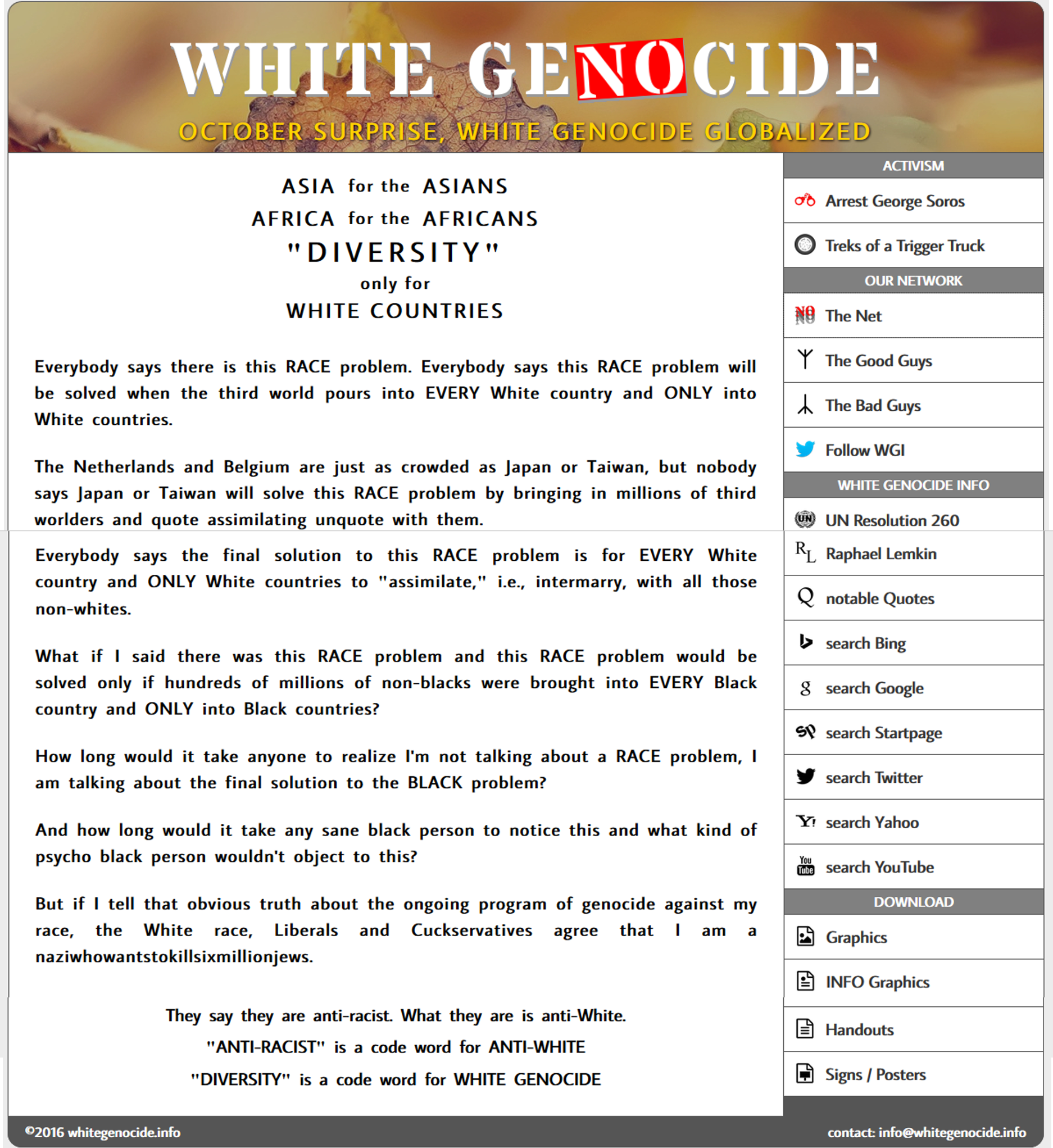 White Genocide website.png